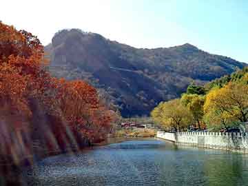 新澳天天免费资料大全，山东龙口海景房价格